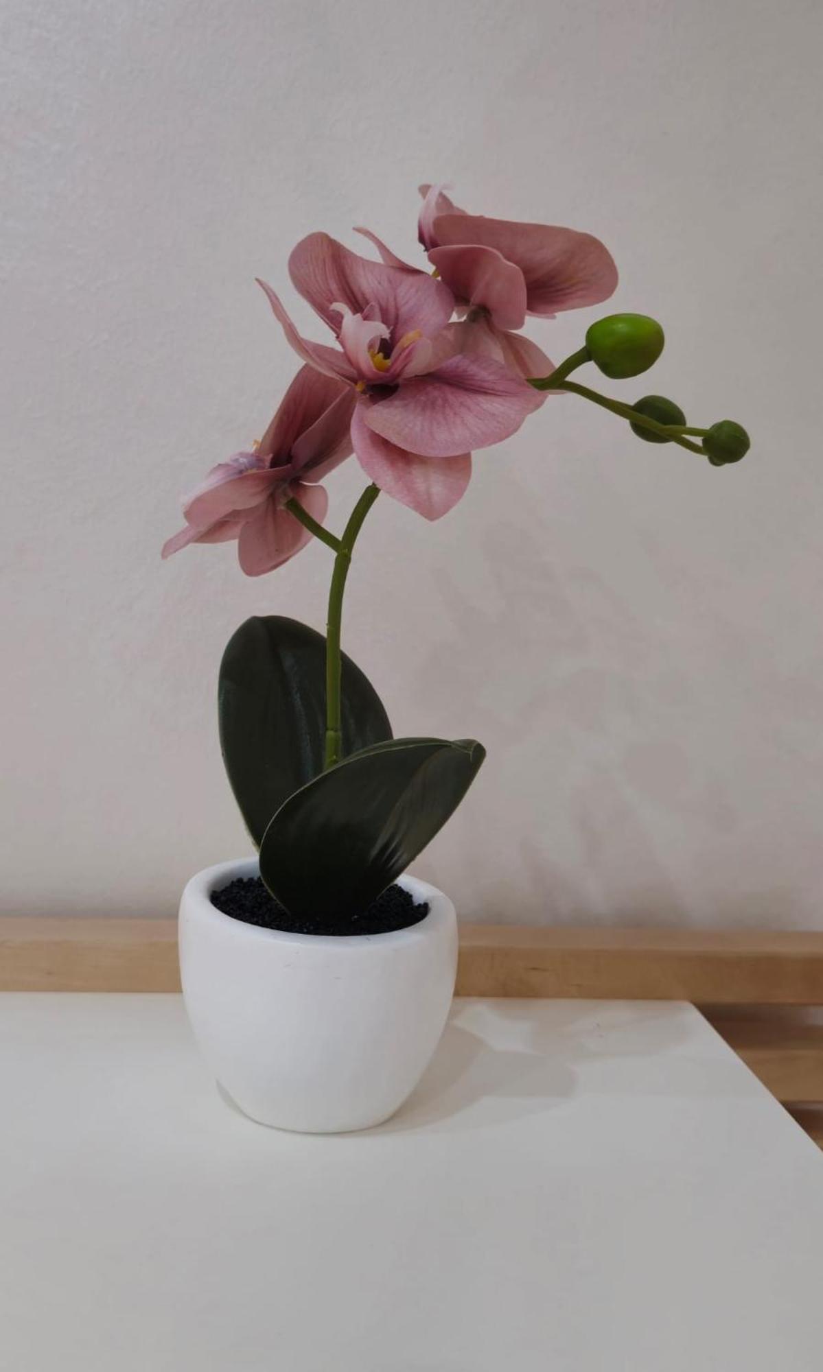 קטאניה Gesuiti Home Di Agata E Aurora מראה חיצוני תמונה